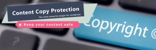 WP Content Copy Protection & No Right Click